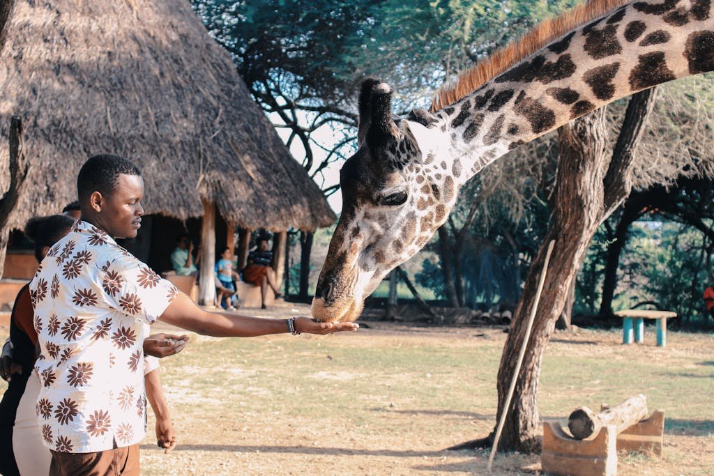 Safari Experience